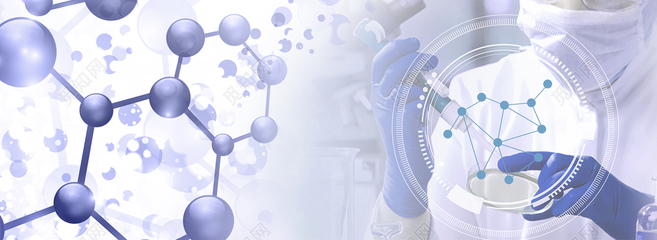 科技医疗 神经细胞组高清影像引领医药医学实验新纪元