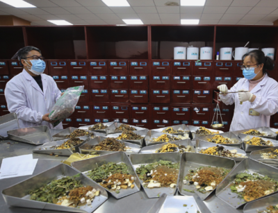 泰州 以科技创新为引擎，驱动中医药产业高质量发展，让中国智慧惠及世界