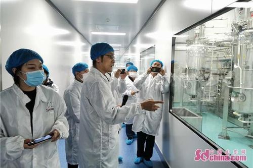 石药集团烟台生物医药高科技产业园 全国最大生物医药产业化基地的科技力量